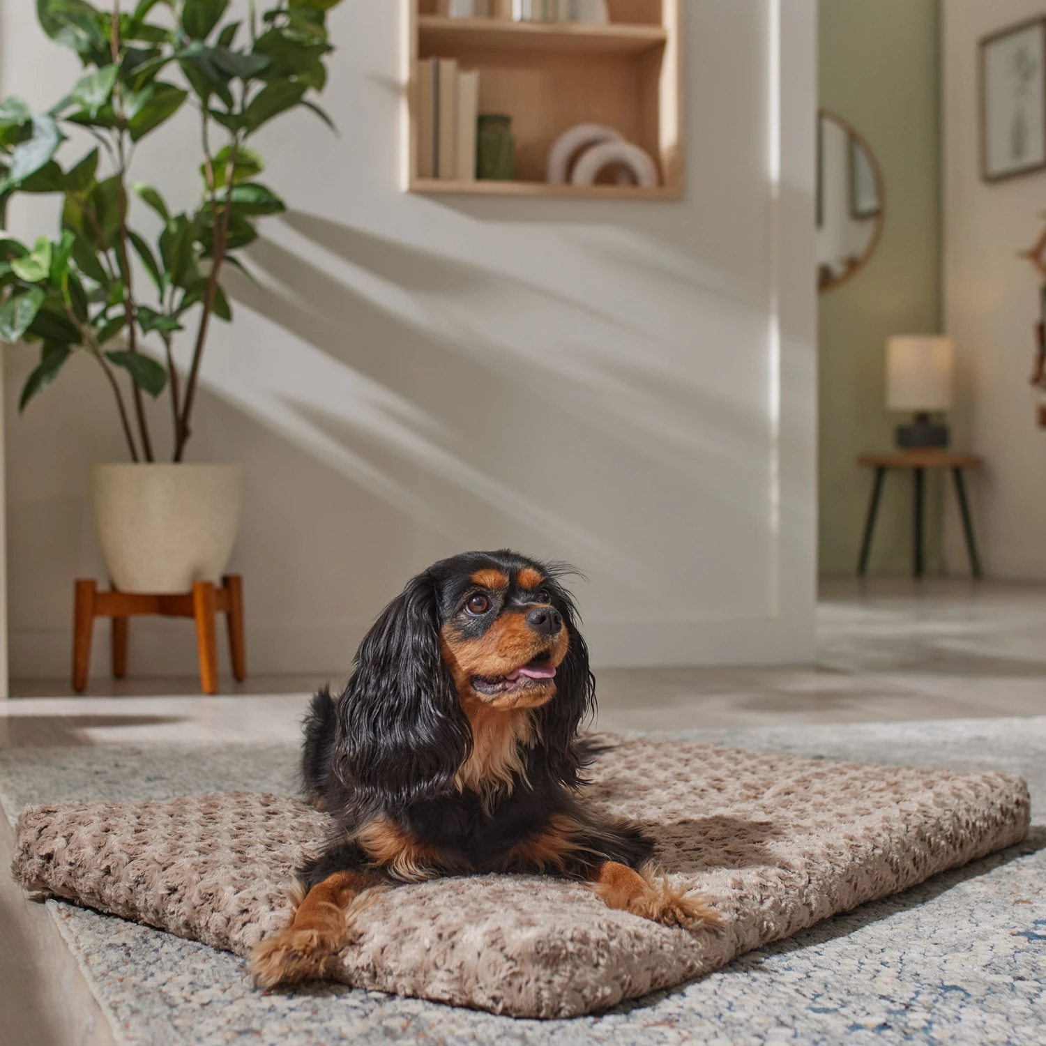 Frisco Swirl Dog Crate Mat 3 Frisco Swirl Dog Crate Mat