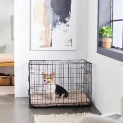 Frisco Swirl Dog Crate Mat 12 Frisco Swirl Dog Crate Mat -Pet Supplies Discount Store 110506 PT5. AC SS1800 V1635258765