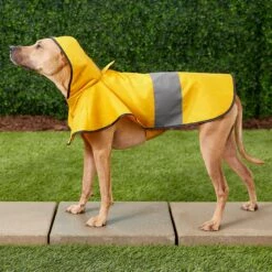Frisco Lightweight Rainy Days Dog Raincoat -Pet Supplies Discount Store 119208 PT7. AC SS1800 V1540475377