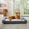 Frisco Plush Orthopedic Bolster Dog Bed W/Removable Cover -Pet Supplies Discount Store 129511 MAIN. AC SS1800 V1674157635