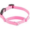 Frisco Solid Nylon Martingale Dog Collar With Buckle -Pet Supplies Discount Store 139177 Main. AC SS1800 V1582829287