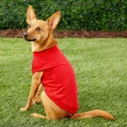 Frisco Basic Dog & Cat T-Shirt 9 Frisco Basic Dog & Cat T-Shirt -Pet Supplies Discount Store 139387 PT4. AC SS1800 V1541453855
