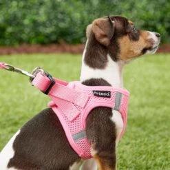 Frisco Small Breed Soft Vest Step In Back Clip Dog Harness -Pet Supplies Discount Store 139821 PT5. AC SS1800 V1561573781