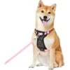 Frisco Padded Nylon No Pull Dog Harness -Pet Supplies Discount Store 140004 MAIN. AC SS1800 V1701798798