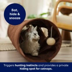 Frisco 47-in Foldable Crinkle Play Tunnel With 2 Windows 10 Frisco 47-in Foldable Crinkle Play Tunnel With 2 Windows -Pet Supplies Discount Store 140168 PT3. AC SS1800 V1695241917