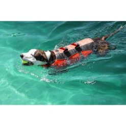 Frisco Ripstop Dog Life Jacket -Pet Supplies Discount Store 140919 PT8. AC SS1800 V1540476454