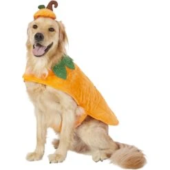 Frisco Pumpkin Dog & Cat Costume -Pet Supplies Discount Store 144446 PT2. AC SS1800 V1567174700