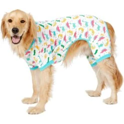 Frisco Dinosaur Print Dog & Cat Jersey PJs