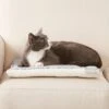 Frisco Reversible Square Cat Pad -Pet Supplies Discount Store 144826 MAIN. AC SS1800 V1566936429