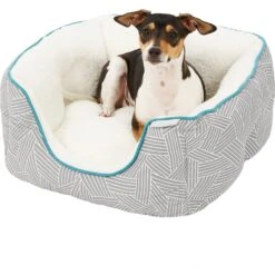 Frisco Square Deep Bolster Cat & Dog Bed -Pet Supplies Discount Store 144829 PT4. AC SS1800 V1578442895