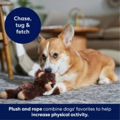 Frisco Bear Plush With Inside Rope Squeaky Dog Toy 12 Frisco Bear Plush With Inside Rope Squeaky Dog Toy -Pet Supplies Discount Store 147061 PT4. AC SS1800 V1695659155