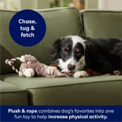 Frisco Monkey Plush With Rope Squeaky Dog Toy -Pet Supplies Discount Store 147067 PT4. AC SS1800 V1686079871