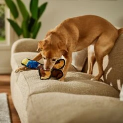 Frisco Duck Flat Plush Squeaky Dog Toy -Pet Supplies Discount Store 147069 PT3. AC SS1800 V1674158058