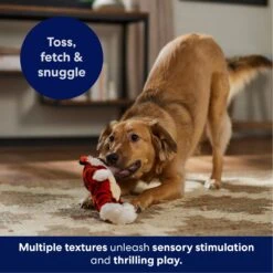 Frisco Tiger Muscle Plush Squeaky Dog Toy -Pet Supplies Discount Store 147080 PT4. AC SS1800 V1695659209