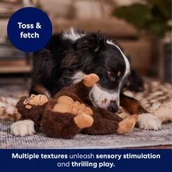 Frisco Gorilla Muscle Plush Squeaky Dog Toy -Pet Supplies Discount Store 147084 PT5. AC SS1800 V1694182068