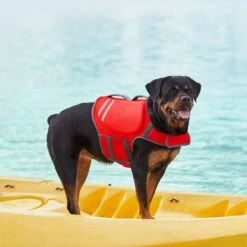Frisco Neoprene Dog Life Jacket -Pet Supplies Discount Store 152465 PT7. AC SS1800 V1631058734