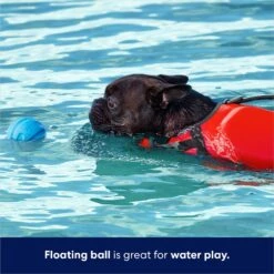 Frisco Foam Rubber Floating Fetch Ball No Squeak Dog Toy -Pet Supplies Discount Store 152798 PT3. AC SS1800 V1686579688