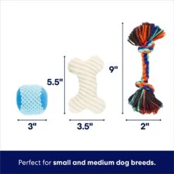 Frisco Chewy Box Hide & Seek Puzzle Plush Squeaky Dog Toy -Pet Supplies Discount Store 152808 PT2. AC SS1800 V1695659219