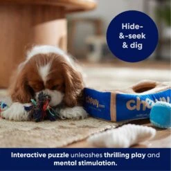 Frisco Chewy Box Hide & Seek Puzzle Plush Squeaky Dog Toy -Pet Supplies Discount Store 152808 PT5. AC SS1800 V1695670752