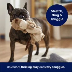 Frisco Beaver Bungee Plush Squeaky Dog Toy -Pet Supplies Discount Store 152824 PT5. AC SS1800 V1686580146