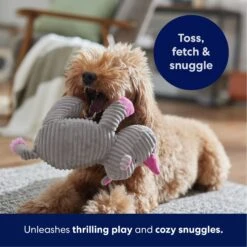 Frisco Rhino Corduroy Plush Squeaky Dog Toy 12 Frisco Rhino Corduroy Plush Squeaky Dog Toy -Pet Supplies Discount Store 152828 PT4. AC SS1800 V1695659205