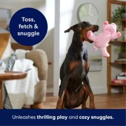 Frisco Corduroy Plush Squeaking Pig Dog Toy -Pet Supplies Discount Store 152832 PT4. AC SS1800 V1695671001