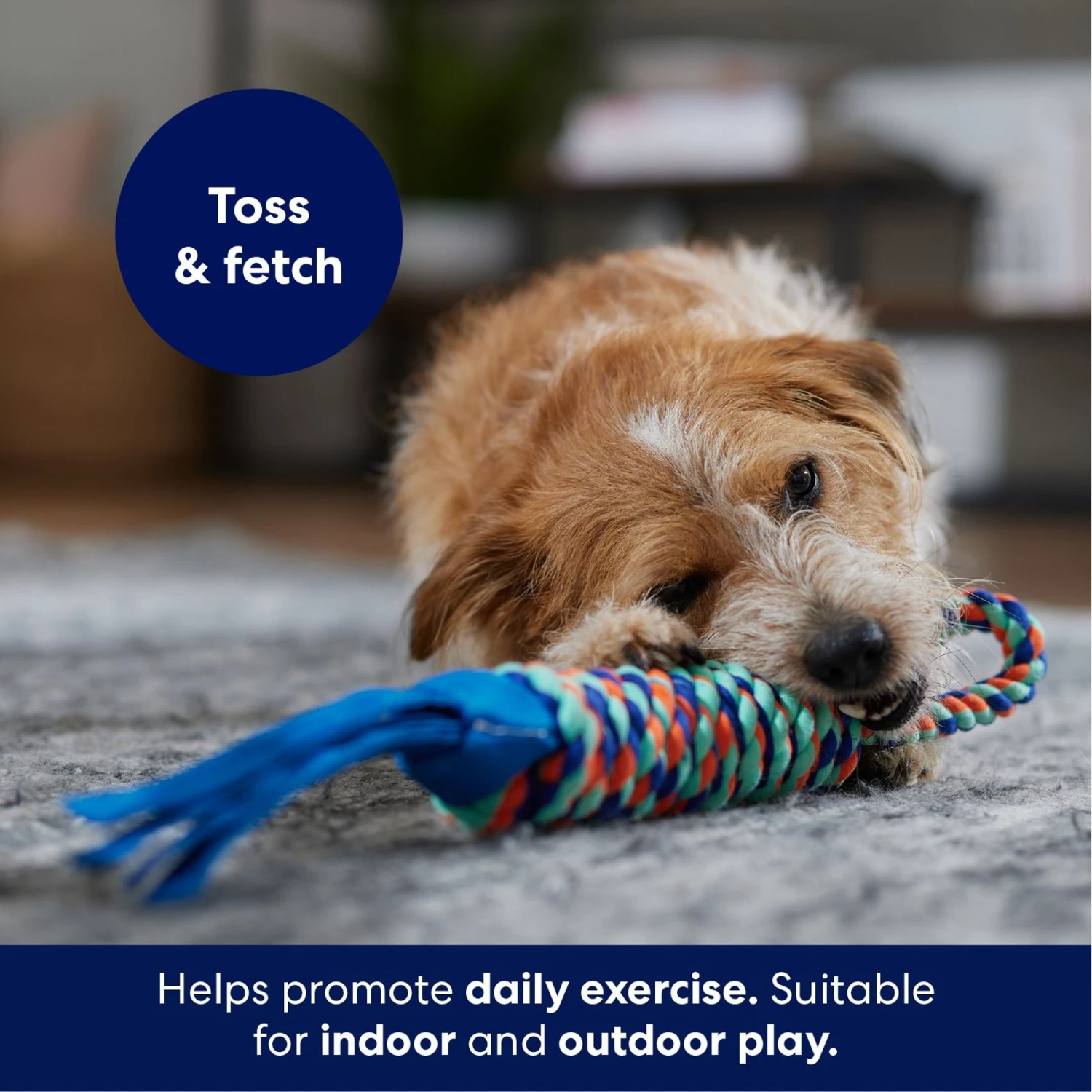 Frisco Rope With Handle & Tassels Dog Toy 5 Frisco Rope With Handle & Tassels Dog Toy - Image 3