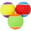 Frisco Fetch Squeaking Colorful Tennis Ball Dog Toy -Pet Supplies Discount Store 152846 Main. AC SS1800 V1549655070