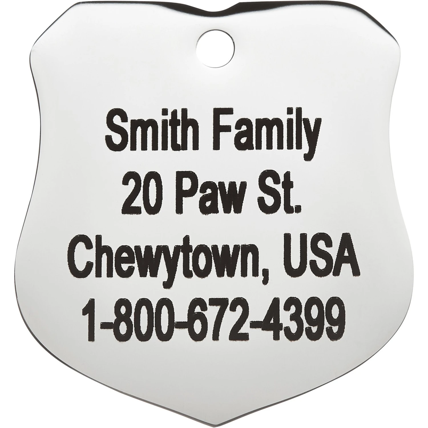 Frisco Stainless Steel Personalized Dog & Cat ID Tag, Badge 6 Frisco Stainless Steel Personalized Dog & Cat ID Tag, Badge - Image 4