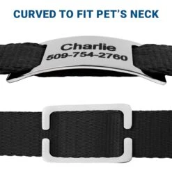 Frisco Stainless Steel Slide-On Personalized Dog & Cat Tag, Open Design -Pet Supplies Discount Store 153050 PT4. AC SS1800 V1644016599