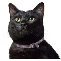 Frisco Rose Polyester Breakaway Cat Collar With Bell 11 Frisco Rose Polyester Breakaway Cat Collar With Bell -Pet Supplies Discount Store 153160 PT3. AC SS1800 V1701796877