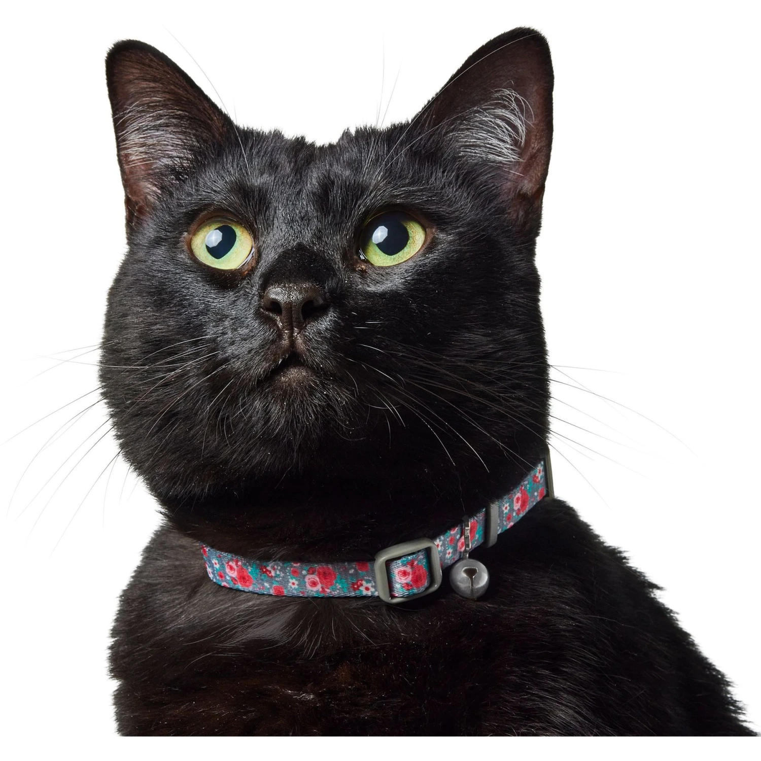 Frisco Rose Polyester Breakaway Cat Collar With Bell 6 Frisco Rose Polyester Breakaway Cat Collar With Bell - Image 4