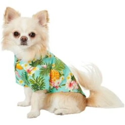 Frisco Pineapple Hawaiian Camp Dog & Cat Shirt -Pet Supplies Discount Store 153596 PT3. AC SS1800 V1673361409