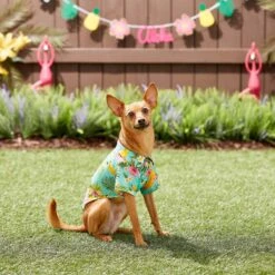 Frisco Pineapple Hawaiian Camp Dog & Cat Shirt -Pet Supplies Discount Store 153596 PT7. AC SS1800 V1644884316