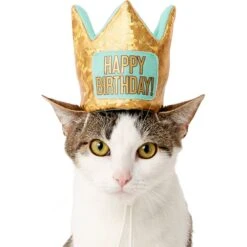 Frisco Happy Birthday Dog & Cat Crown -Pet Supplies Discount Store 153665 PT2. AC SS1800 V1551230979