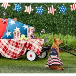 Frisco American Cutie Dog & Cat Sundress -Pet Supplies Discount Store 153735 PT4. AC SS1800 V1633126624