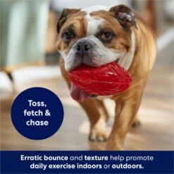 Frisco Football TPR Squeaky Dog Toy -Pet Supplies Discount Store 154412 PT3. AC SS1800 V1686578718