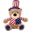 Frisco American Flag Bear Plush Squeaky Dog Toy -Pet Supplies Discount Store 157187 Main. AC SS1800 V1559764050