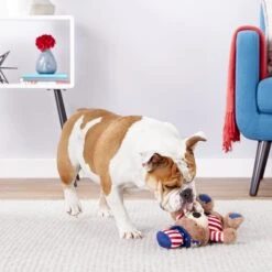 Frisco American Flag Bear Plush Squeaky Dog Toy -Pet Supplies Discount Store 157187 PT2. AC SS1800 V1559764047