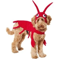 Frisco Red Lobster Dog & Cat Costume -Pet Supplies Discount Store 158723 PT2. AC SS1800 V1659023725