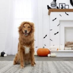 Frisco Lion Mane Dog & Cat Costume -Pet Supplies Discount Store 158732 PT7. AC SS1800 V1691686202