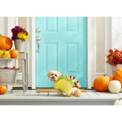 Frisco Taco Dog & Cat Costume -Pet Supplies Discount Store 158826 PT3. AC SS1800 V1567175798