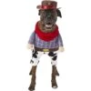 Frisco Front Walking Cowboy Dog & Cat Costume -Pet Supplies Discount Store 158842 Main. AC SS1800 V1564408627