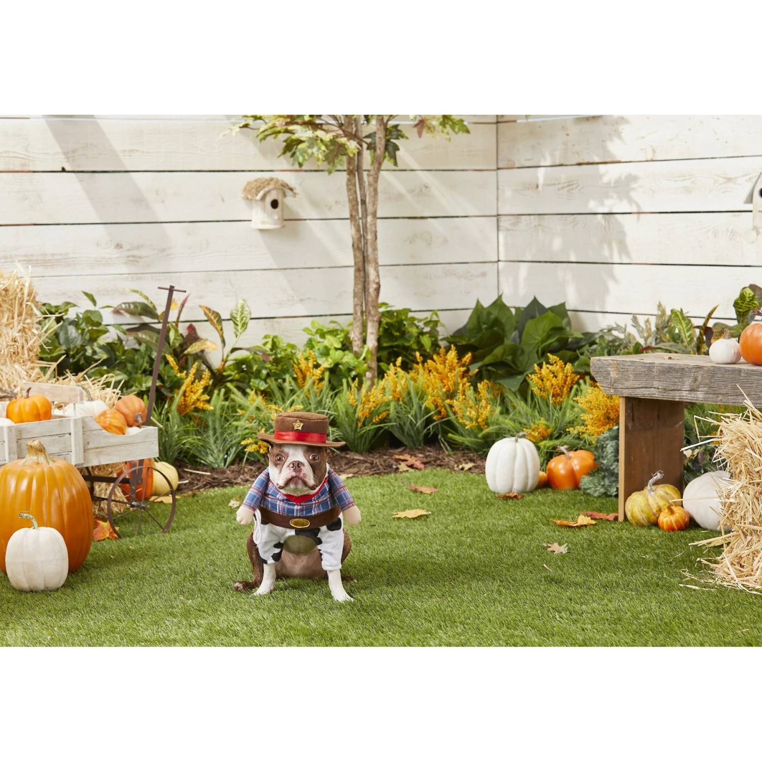 Frisco Front Walking Cowboy Dog & Cat Costume 5 Frisco Front Walking Cowboy Dog & Cat Costume - Image 3