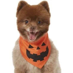 Frisco Jack O' Lantern Pumpkin Dog & Cat Bandana -Pet Supplies Discount Store 158934 PT2. AC SS1800 V1690828662
