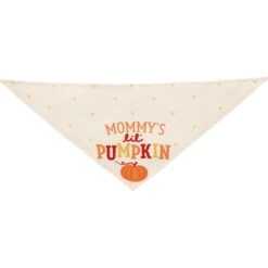 Frisco Mommy's Lil Pumpkin Dog & Cat Bandana -Pet Supplies Discount Store 158936 PT3. AC SS1800 V1689628812