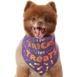 Frisco I Do Tricks For Treats Dog & Cat Bandana 12 Frisco I Do Tricks For Treats Dog & Cat Bandana -Pet Supplies Discount Store 158938 PT3. AC SS1800 V1633075903