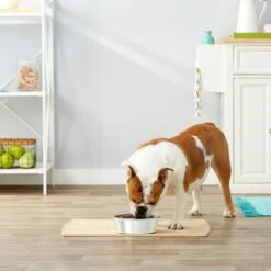 Frisco Stainless Steel Dog & Cat Bowl -Pet Supplies Discount Store 159867 PT3. AC SS1800 V1570543097