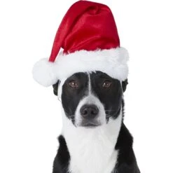 Frisco Holiday Dog & Cat Santa Hat, 1 Count 10 Frisco Holiday Dog & Cat Santa Hat, 1 Count -Pet Supplies Discount Store 160054 PT2. AC SS1800 V1669100718
