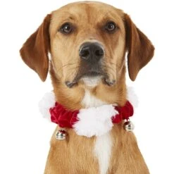Frisco Jingle Bells Dog & Cat Holiday Collar With Bells, 1 Count -Pet Supplies Discount Store 160063 PT2. AC SS1800 V1669101088